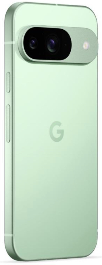 Смартфон Google Pixel 9 12/128GB Wintergreen (JP)