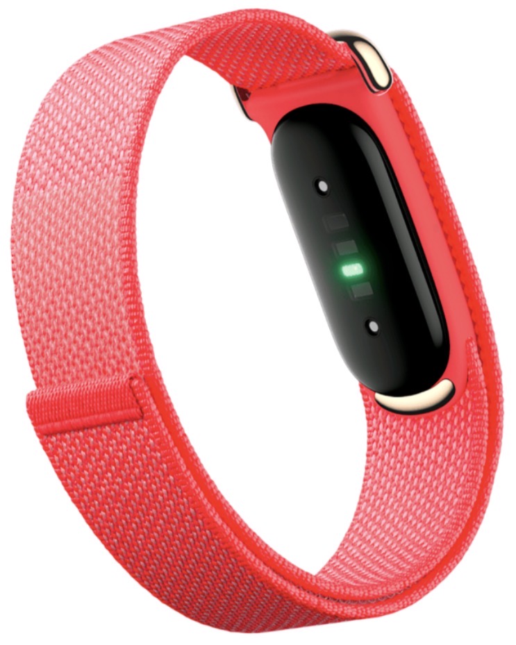 Фитнес-браслет Google Fitbit Air Berry
