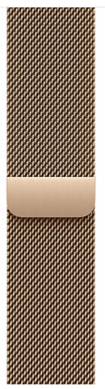 Часы Apple Watch 11 46mm Gold Titanium Case Gold Milanese Loop