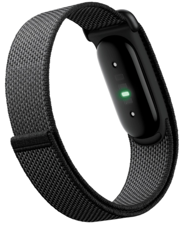 Фитнес-браслет Google Fitbit Air Obsidian