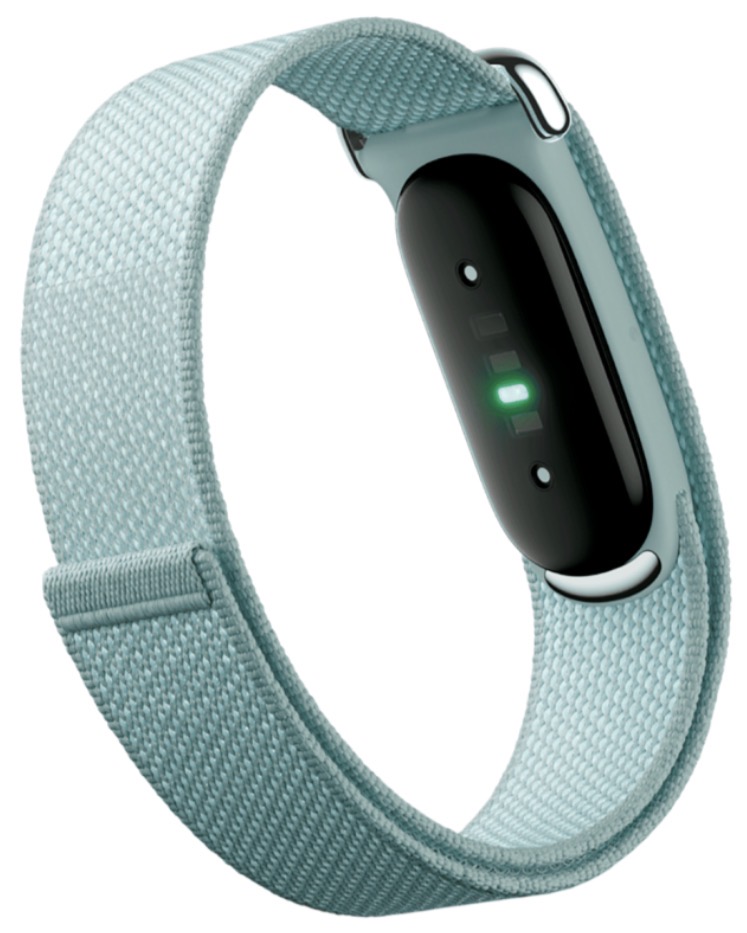 Фитнес-браслет Google Fitbit Air Fog