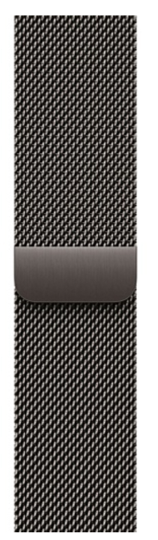 Часы Apple Watch 11 46mm Slate Titanium Case Slate Milanese Loop