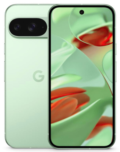 Смартфон Google Pixel 9 12/128GB Wintergreen (USA)