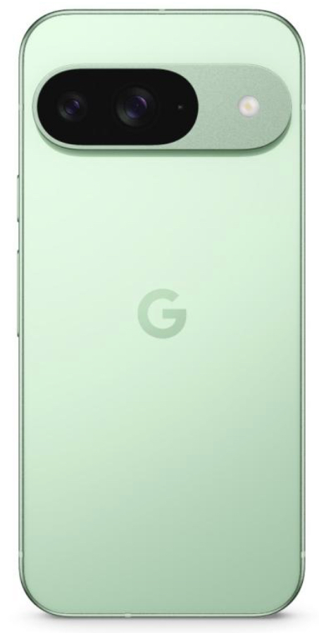 Смартфон Google Pixel 9 12/128GB Wintergreen (JP)