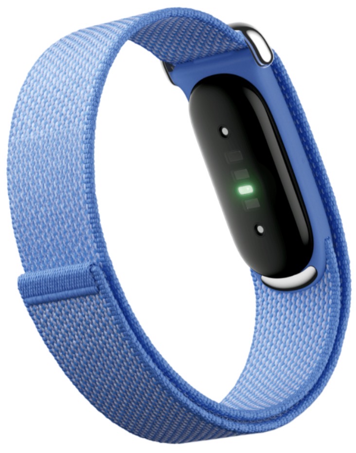 Фитнес-браслет Google Fitbit Air Lavender