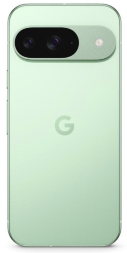 Смартфон Google Pixel 9 12/128GB Wintergreen (USA)